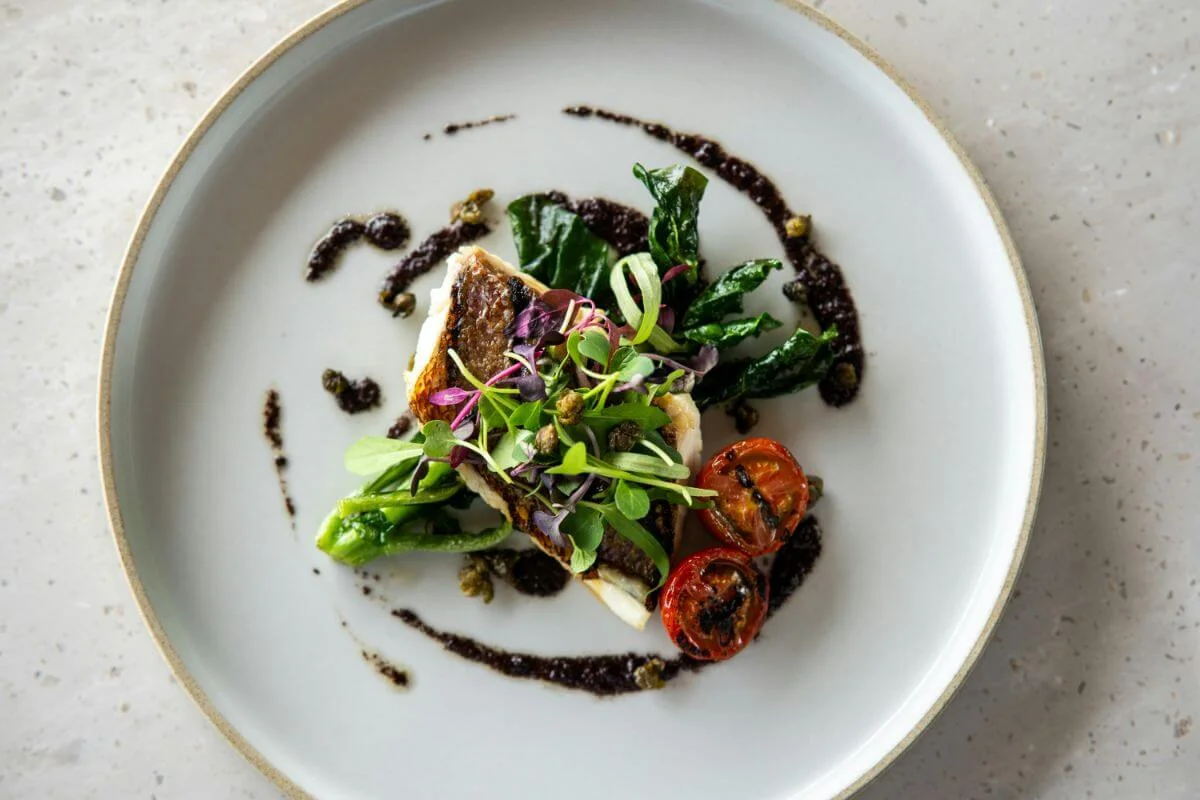 Top view of a fine dining plate featuring seared fish with microgreens, leafy greens, roasted cherry tomatoes, and a dark sauce drizzle on a white plate
