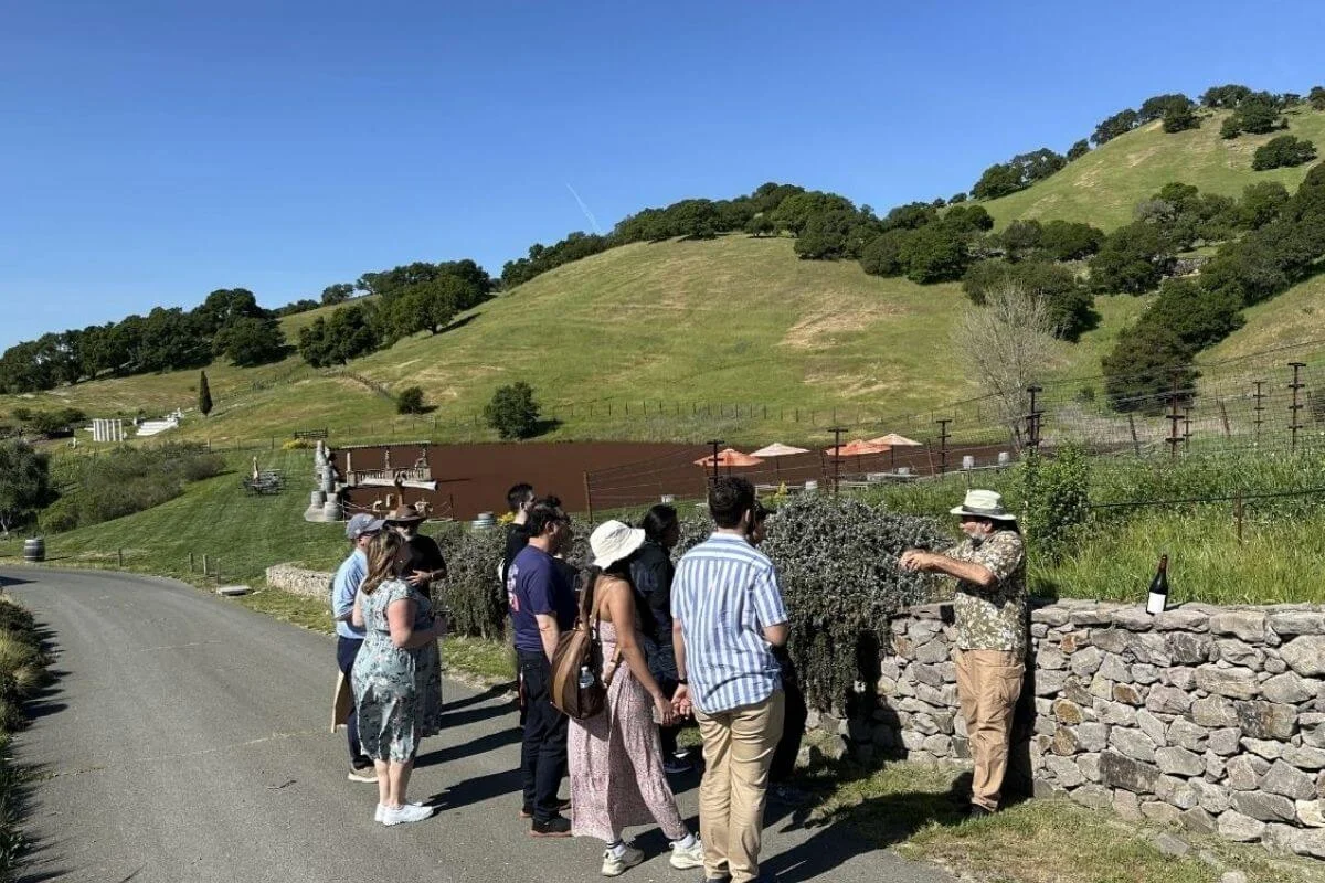 A group of visitors listening to a winery guide next to a stone wall on a sunny day, with rolling green hills and vineyard grounds in the background