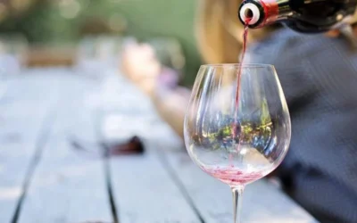 Napa vs Sonoma from San Francisco: Your Complete Wine Country Day Trip Guide