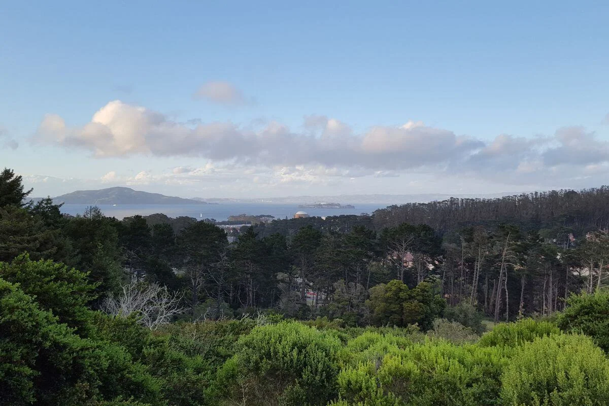 View from Inspiration Point in the Presidio, looking out over San Francisco Bay toward Alcatraz, Angel Island, and the Palace of Fine Arts