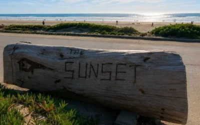 Your Complete Guide to Sunset Dunes: San Francisco’s Newest Oceanfront Park