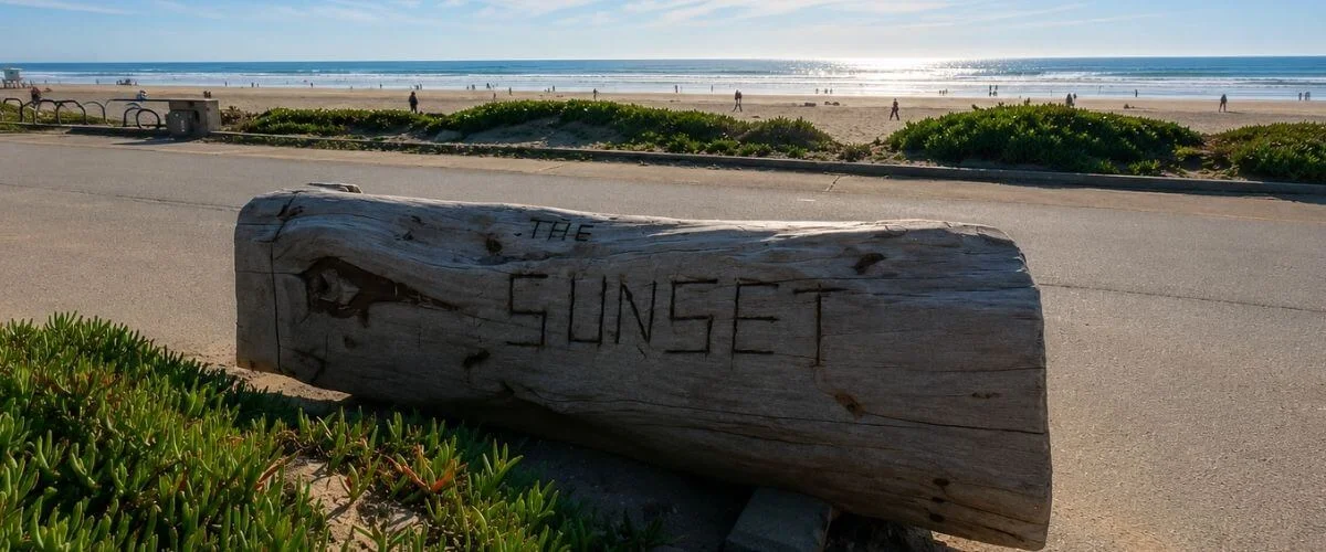 The Sunset Driftwood Sign at Ocean Beach, San Francisco A weathered driftwood log with "The Sunset" carved into it sits beside a beachside road, with the sandy shore, ice plant ground cover, and the sparkling Pacific Ocean stretching to the horizon behind it.