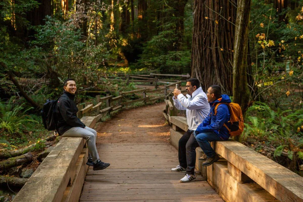 Three friends sitting on a wooden bridge railing taking photos surrounded by towering redwood trees