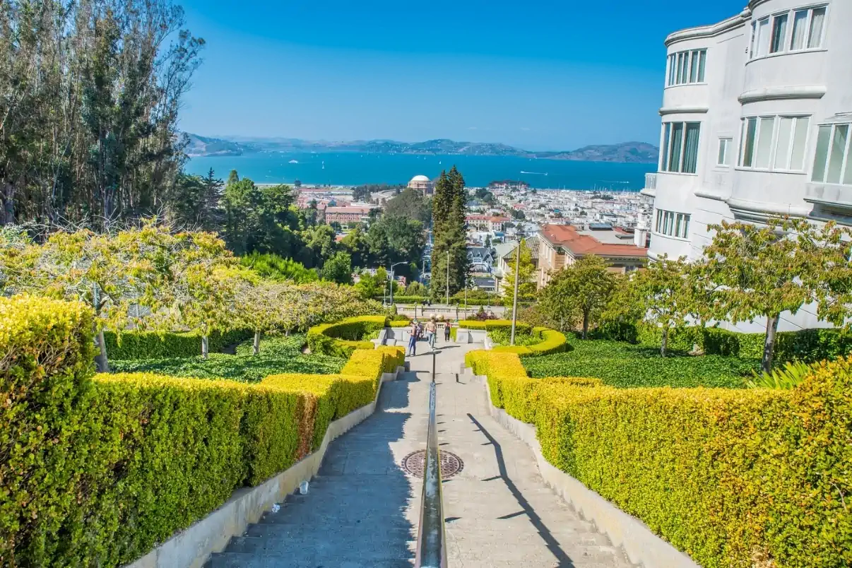View from the Lyon Street Steps overlooking San Francisco Bay