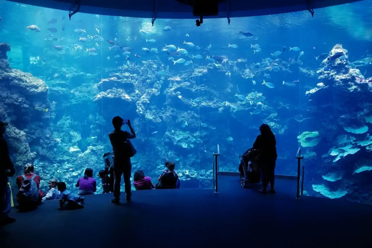 Visitors exploring the Aquarium of the Bay at Fisherman's Wharf