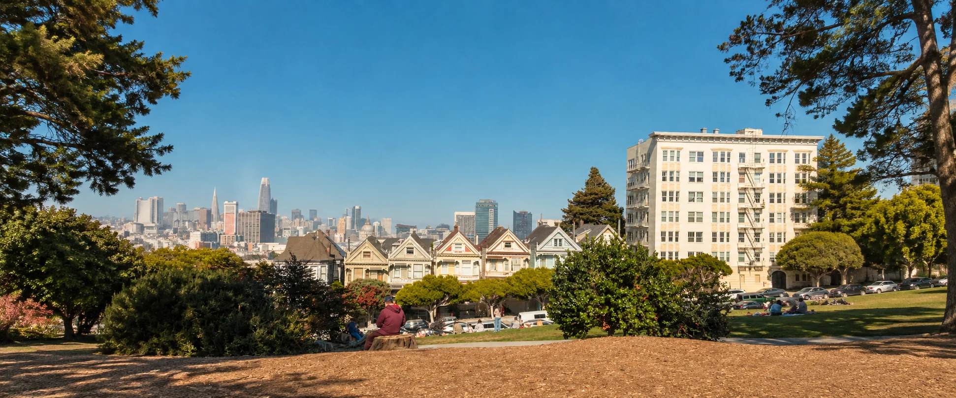 Alamo Square Park View of the Painted Ladies and City Skyline Wide shot from Alamo Square Park showing visitors relaxing on the lawn overlooking the famous Painted Ladies Victorian houses with downtown San Francisco skyscrapers in the background.
