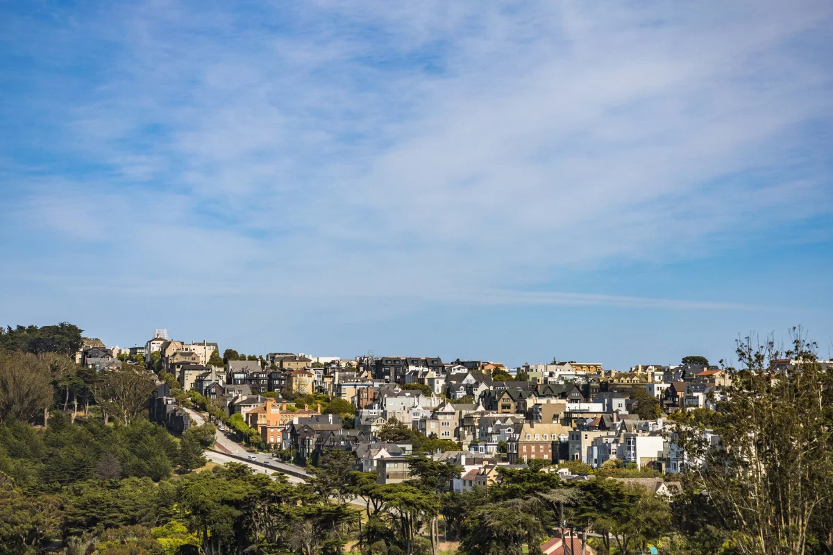 Panoramic view of Victorian and modern residential houses built along a lush green San Francisco hillside under a clear blue sky.